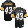 Cheap Troy Polamalu Steelers Jersey #43 Black From China