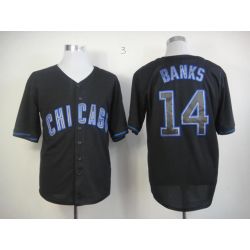 Cheap Ernie Banks Cubs Jersey From China #14 Black Fashion