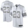 Cheap Joe Haden Browns Jersey From China #23 Platinum