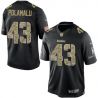 Cheap Troy Polamalu Steelers Jersey From China #43 Black Salute To Service