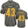 Cheap Troy Polamalu Steelers Jersey From China #43 Vapor