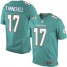Cheap Ryan Tannehill Dolphins Jersey From China #17 Green 2013new Elite