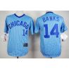 Cheap Ernie Banks Cubs Blue White Strips Jersey From China #14 In Men Women Youth Size