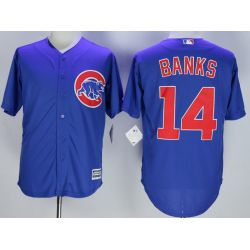 Cheap Ernie Banks Cubs Jersey From China Blue 2016 new #14 In Men Women Youth Size