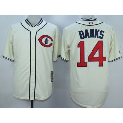 Cheap Ernie Banks Cubs Jersey From China Cream 1929 turn back the clock #14 In Men Women Youth Size