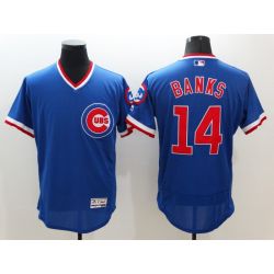 Cheap Ernie Banks Cubs Jersey From China Blue V-neck FLEXBASE #14