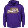 Cheap Minnesota Vikings Hoodie From China Purple 2015 NFC North Division Champions