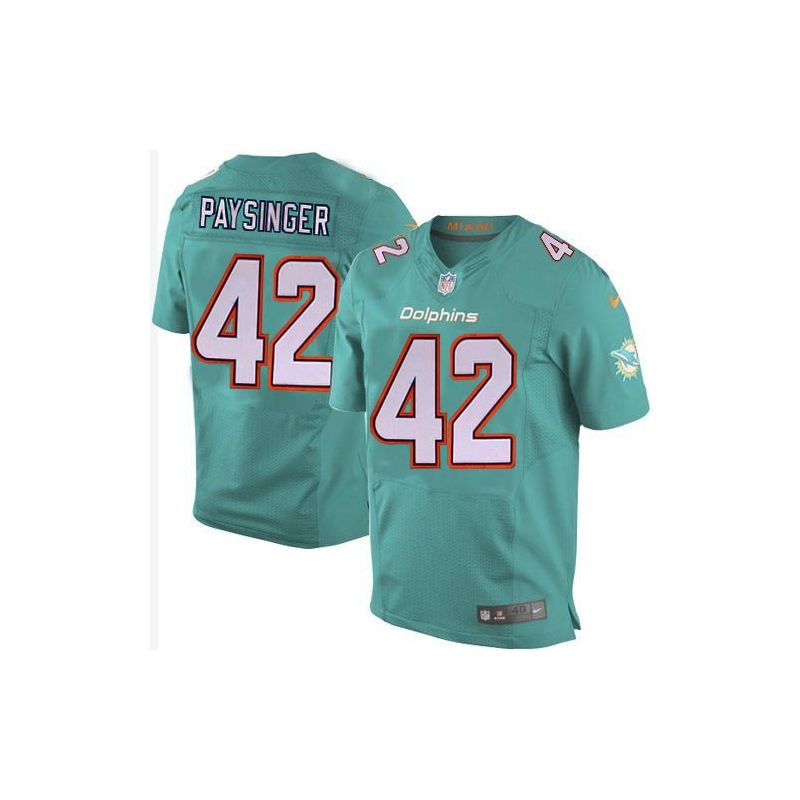 Cheap Spencer Paysinger Dolphins Jersey From China Green 2015 new Elite #42