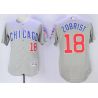 Cheap Ben Zobrist Cubs Jersey From China Grey CHICAGO 2016 FLEXBASE #18 in Men Women Youth Size