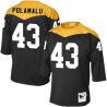Cheap Troy Polamalu Steelers Jersey From China Black 1967 throwback Elite #43