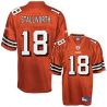 Cheap Donte Stallworth Browns Jersey #18 Orange From China