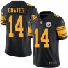 Cheap Sammie Coates Steelers Jersey From China Color Rush Legend #14