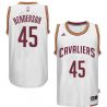 Cheap Cedric Henderson Cavaliers Jersey From China #45