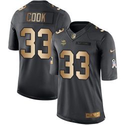 Cheap Dalvin Cook Vikings Jersey From China 2017 draft Salute to Service Gold #33