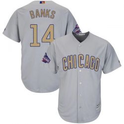 Cheap Ernie Banks Cubs Jersey From China Grey Gold Program for World Series Champions Cool Base #14