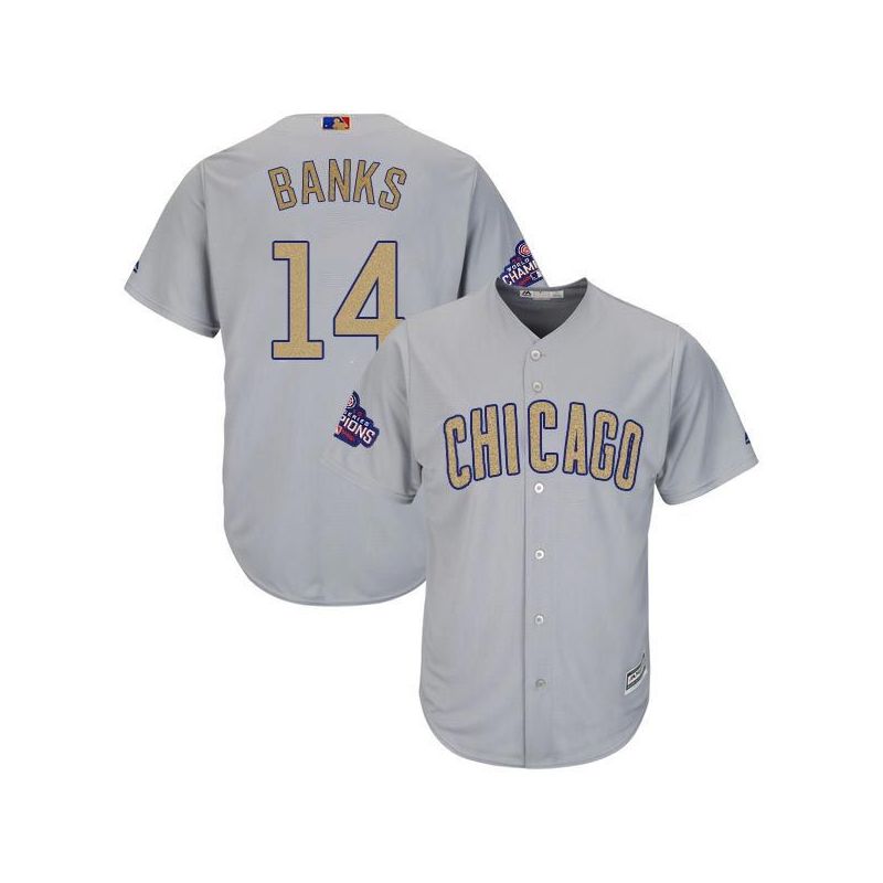 Cheap Ernie Banks Cubs Jersey From China Grey Gold Program for World Series Champions Cool Base #14