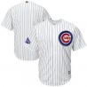 Cheap Chicago Cubs Jersey From China Blank White Gold Program for World Series Champions Cool Base