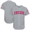 Cheap Chicago Cubs Jersey From China Blank Gray Mothers Day