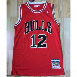 Cheap Michael Jordan Bulls Jersey From China #12