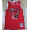 Cheap Michael Jordan Bulls Jersey From China #12