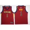 Cheap Derrick Rose Cavaliers Jersey From China #1