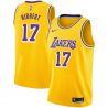 Cheap Roy Hibbert/Vander Blue/Arnie Ferrin Lakers Jersey From China