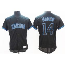 Cheap Ernie Banks Cubs Jersey From China #14