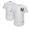 Cheap Yankees Blank Jersey From China