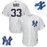 Cheap Greg Bird Yankees Jersey From China #33