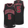 Cheap Carlos Boozer Bulls Jersey #5 Alternate From China