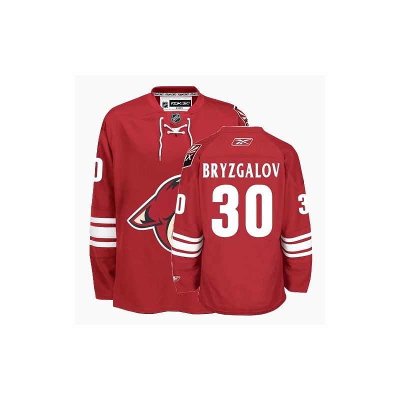 Cheap Ilya Bryzgalov Coyotes Jersey #30 Red From China