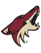 Cheap Coyotes Jerseys