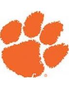 Cheap Clemson College Tiger Jerseys From China For Sale. Customizable