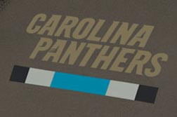 panthers.png